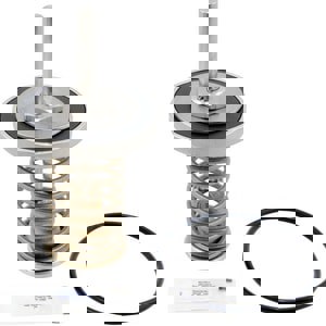 LFNP 2-1/2 - 3 LFRK909 CK1 REP KIT